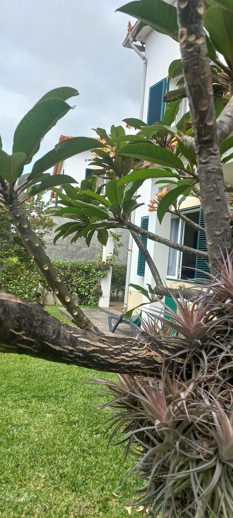Villa Cosy Nook Funchal  Ngoại thất bức ảnh