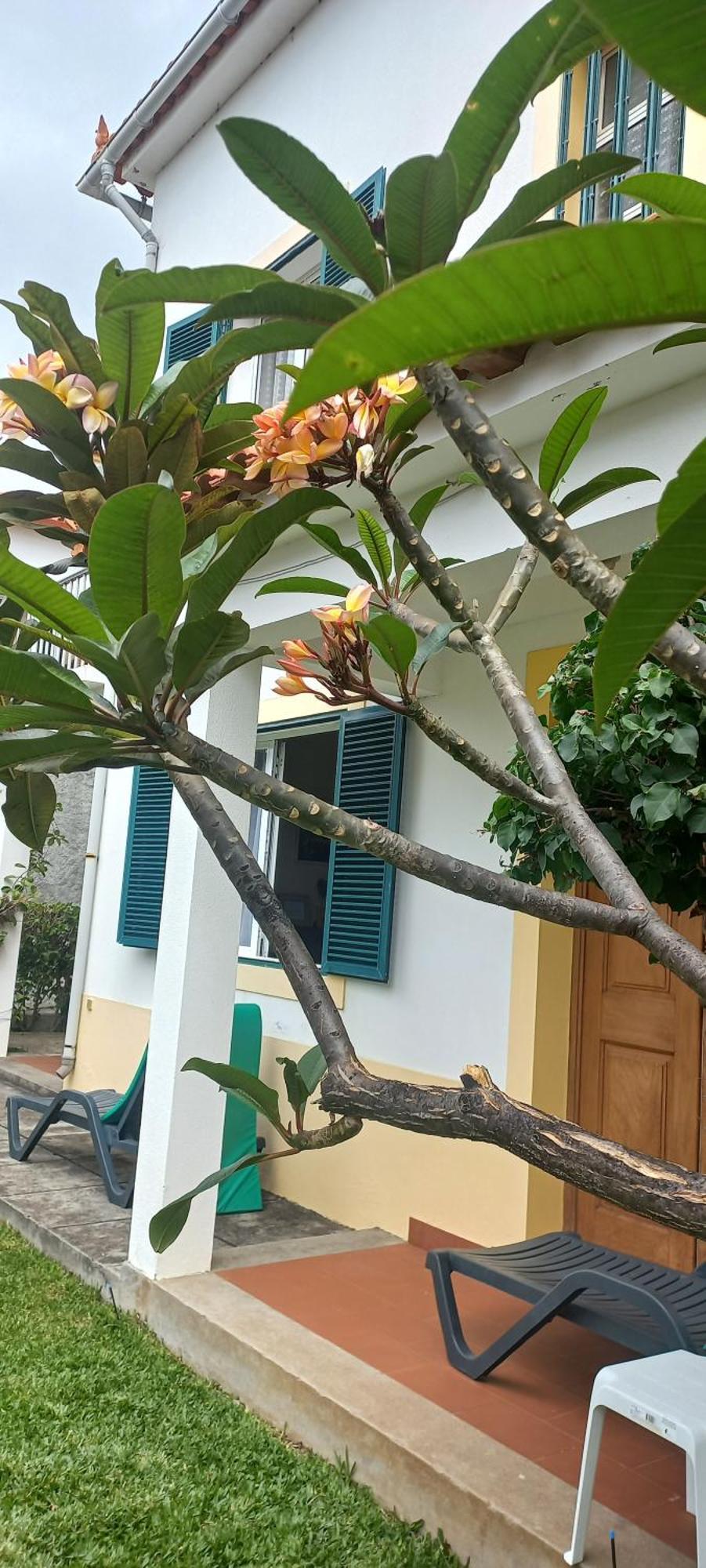 Villa Cosy Nook Funchal  Ngoại thất bức ảnh